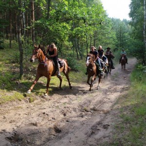 jazda konna rajdy konne konie nauka jazdy konnej koń obozy jeździeckie obóz jeździecki rajd konny nad morze 
zachodniopomorskie drawsko czaplinek