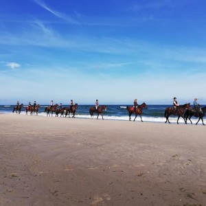 jazda konna rajdy konne konie nauka jazdy konnej koń obozy jeździeckie obóz jeździecki rajd konny nad morze 
zachodniopomorskie drawsko czaplinek